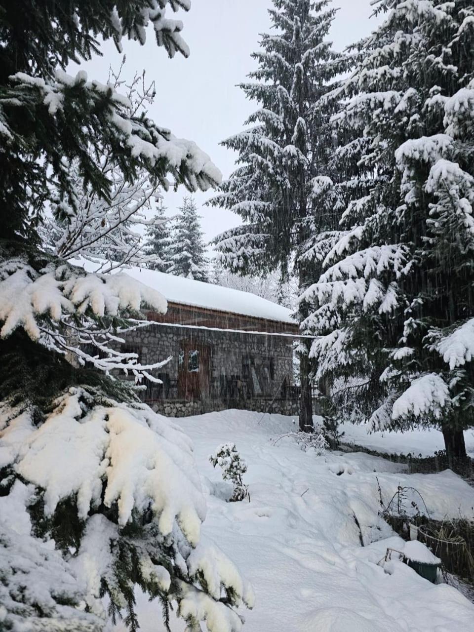 Guest House Hyrmet Demushi Valbone Exterior foto